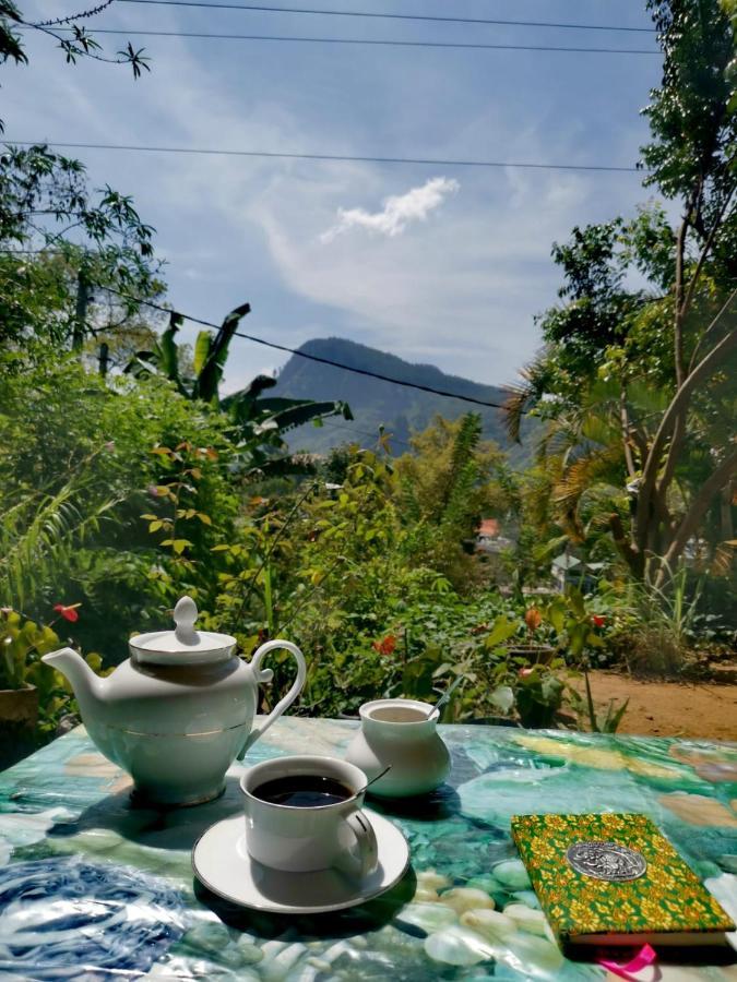 Eden View Ella - Tour Options In The Area Hotel ภายนอก รูปภาพ